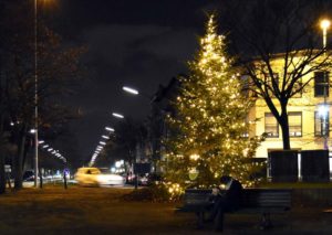 Weihnachten 2018: Der Weihnachtsbaum leuchtet am Franz-Neumann-Platz